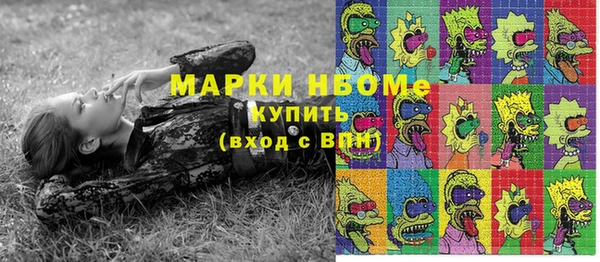 PSILOCYBIN Вяземский